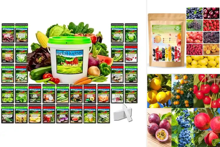 Detailed view of Best Non Gmo Heirloom Fruit Seeds For Planting