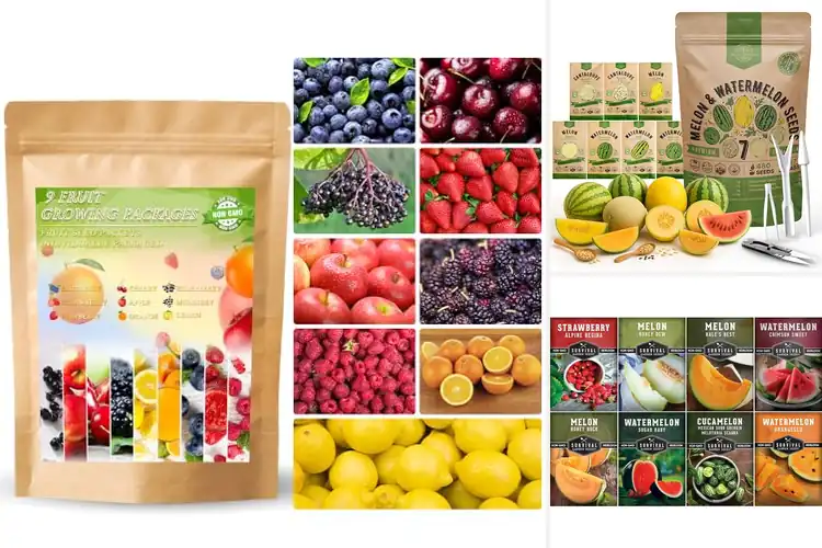 Detailed view of Best Non GMO Heirloom Fruit Seeds for Sweet Garden Harvests