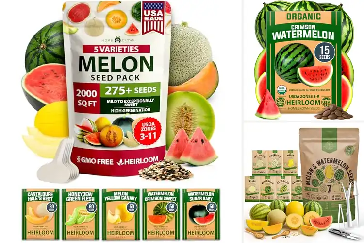 Detailed view of Best Non GMO Heirloom Melon And Watermelon Seeds