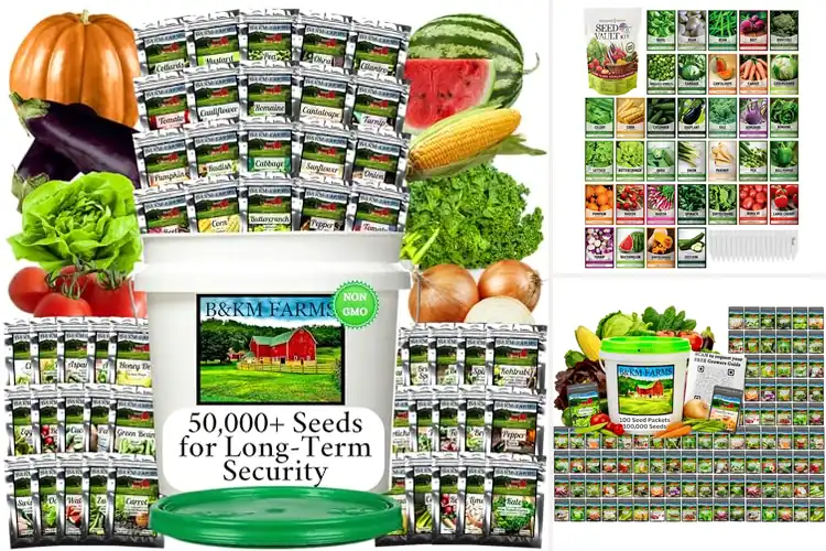 Detailed view of Best Non GMO Heirloom Seeds Kits