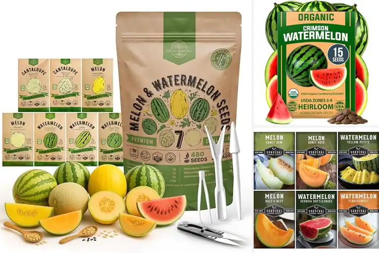 Detailed view of Best Non Gmo Melon Seeds