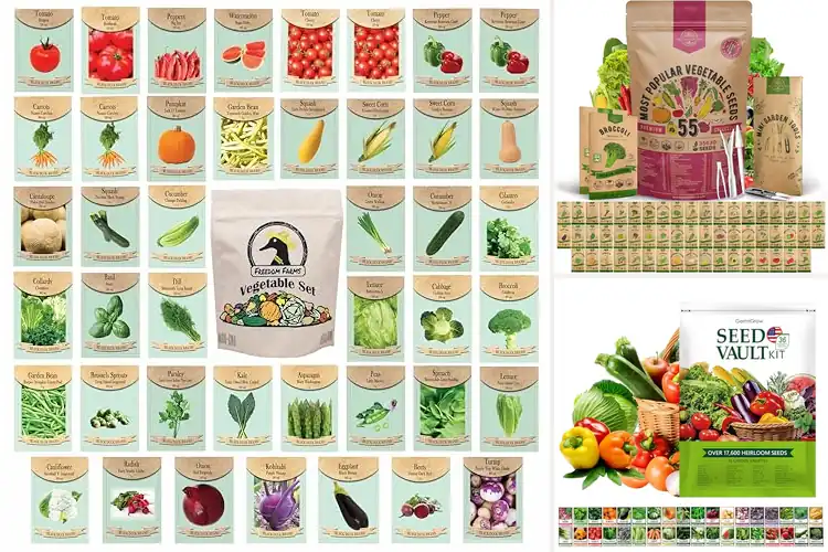 Detailed view of Best Non GMO Seed Packs: Easy-Grow Guide for Healthy Gardens