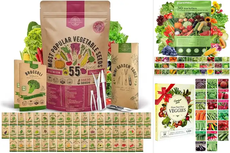 Detailed view of Best Outdoor Gardening Seeds