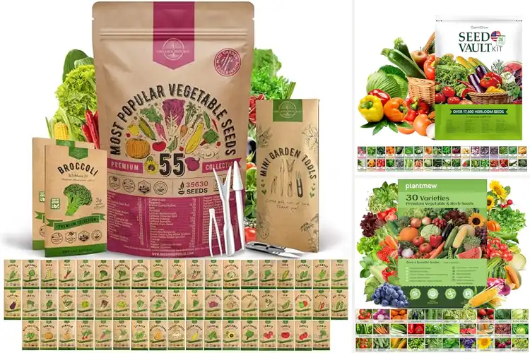 Detailed view of Best Outdoor Seed Packs