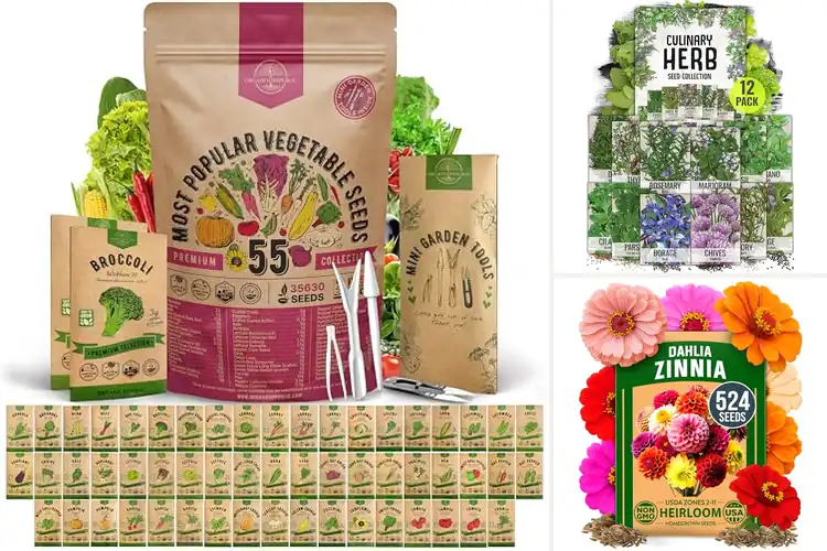 Detailed view of Best Outdoor Seeds