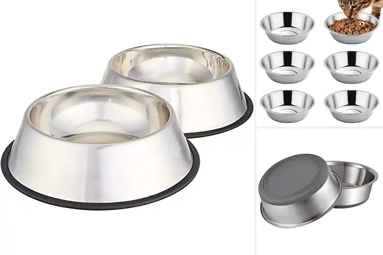 Detailed view of Best Pet Bowls