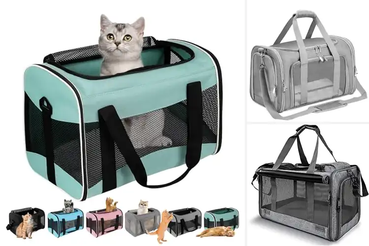 Detailed view of Best Pet Carriers For Cats: Stress-Free Travel Made Easy