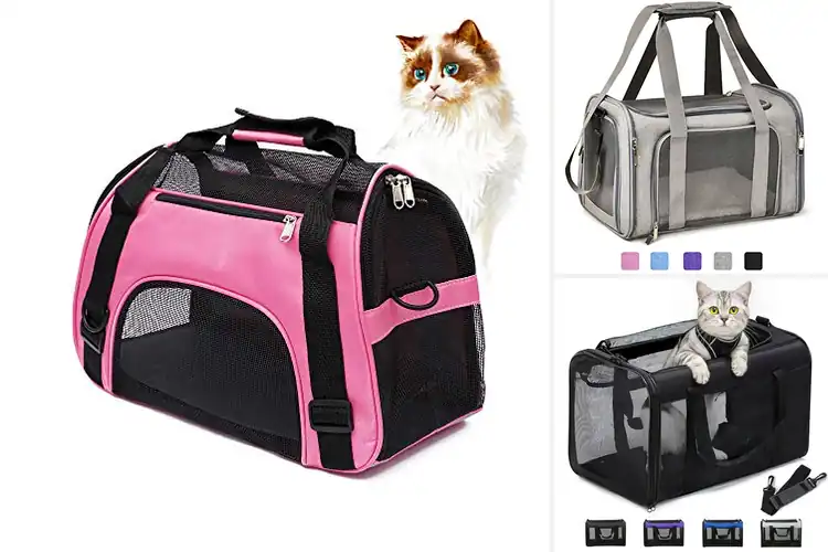 Detailed view of Best Pet Carriers For Kittens
