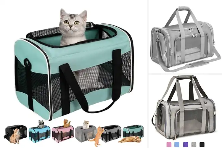 Detailed view of Best Pet Carriers For Small Cats