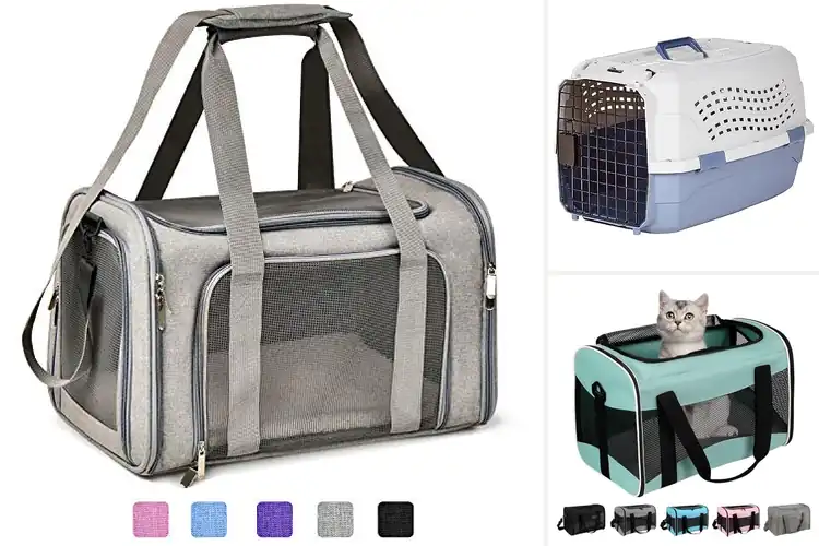 Detailed view of Best Pet Carriers For Small Dogs: Comfort & Safety on the Go