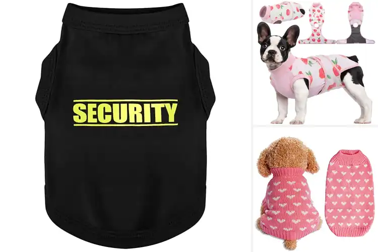 Detailed view of Best Pet Clothing
