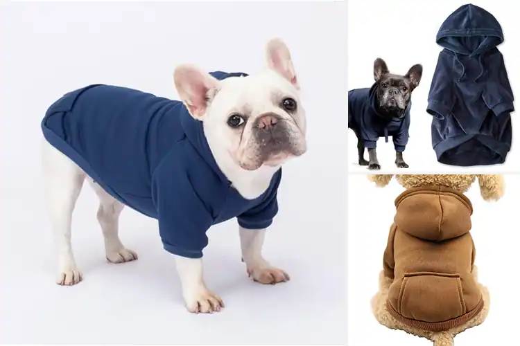 Detailed view of Best Pet Comfort Sweatshirts