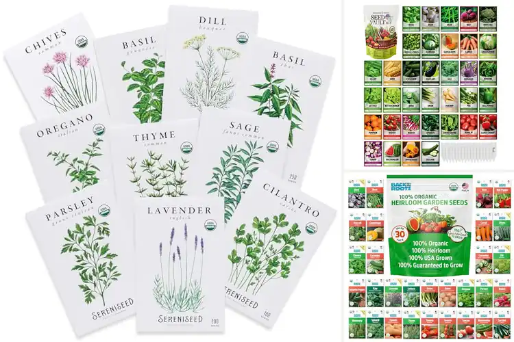 Detailed view of Best Quality Seeds: Grow Your Dream Garden