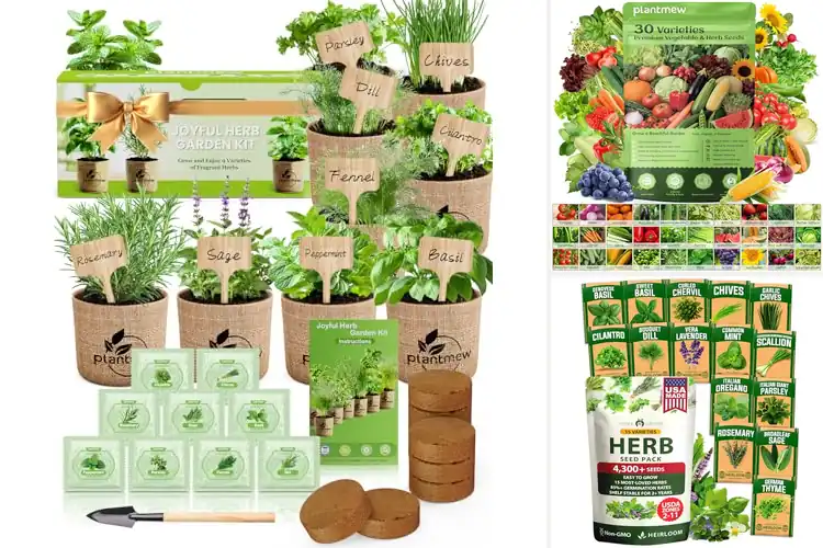 Detailed view of Best Seed Kit For Indoor And Outdoor Gardening