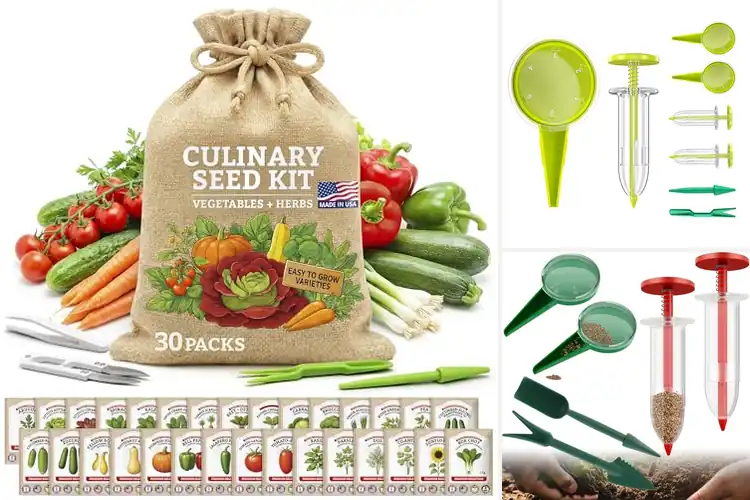 Detailed view of Best Seed Kit With Tools: Grow Your Garden Easily