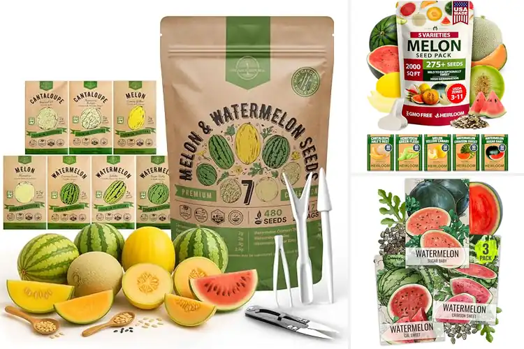 Detailed view of Best Seed Packets For Melon And Watermelon
