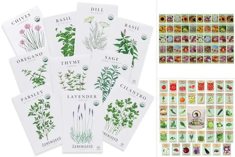 Detailed view of Best Seed Packets
