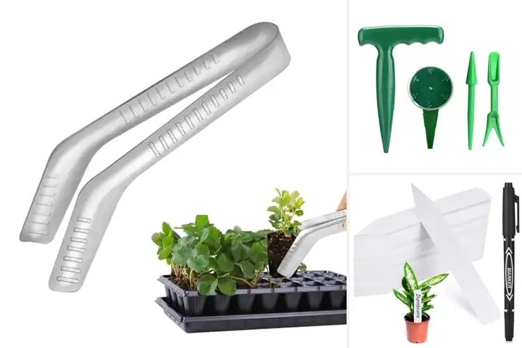 Detailed view of Best Seed Starting Tools: Simplify Your Gardening Journey
