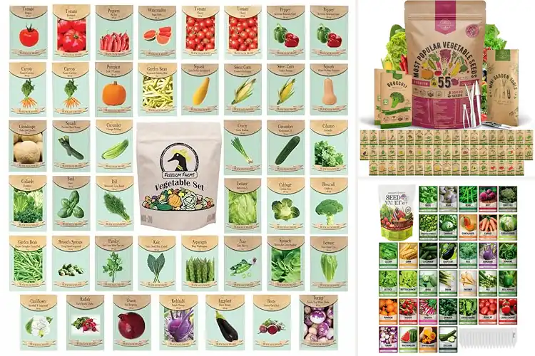 Detailed view of Best Seed Varieties