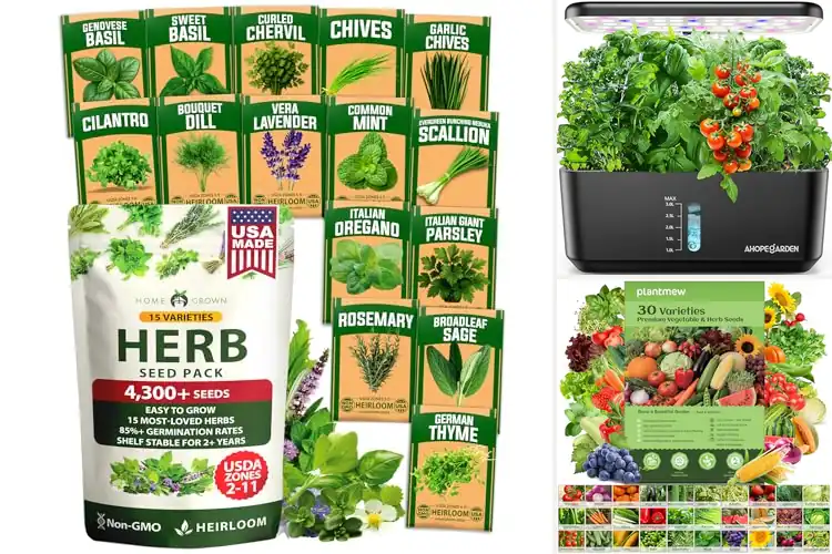 Detailed view of Best Seeds For Hydroponic And Indoor Gardening