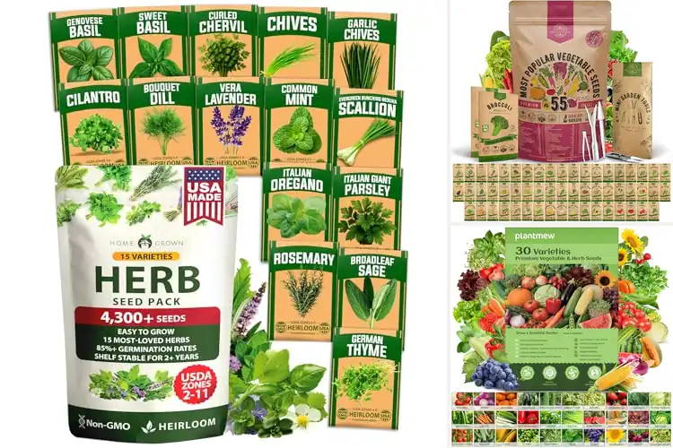 Detailed view of Best Seeds For Hydroponic Gardening