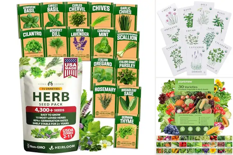 Detailed view of Best Seeds For Indoor Gardening