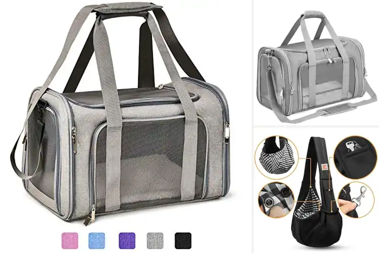 Detailed view of Best Small Dog Carriers