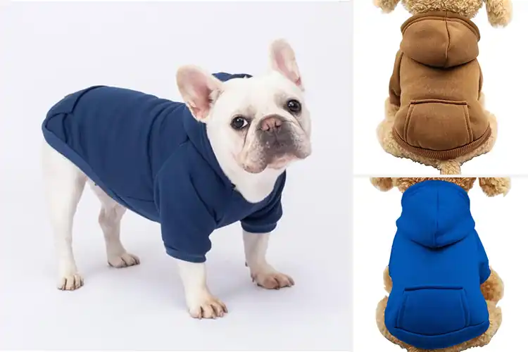 Detailed view of Best Small Dog Hoodies for Cozy Everyday Comfort