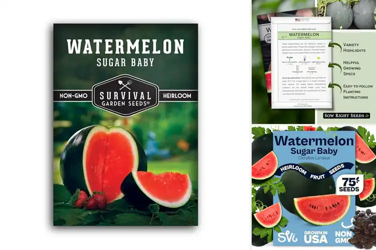 Detailed view of Best Sugar Baby Watermelon Seeds