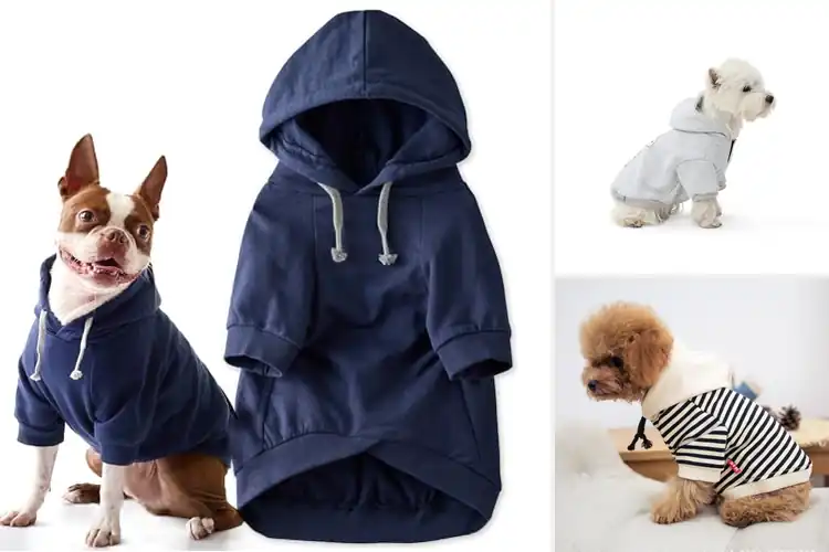Detailed view of Best Thin Pet Hoodies for Light & Cozy Comfort