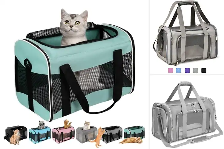 Detailed view of Best Travel Carriers: Safe, Cozy, Stress-Free Pet Trips