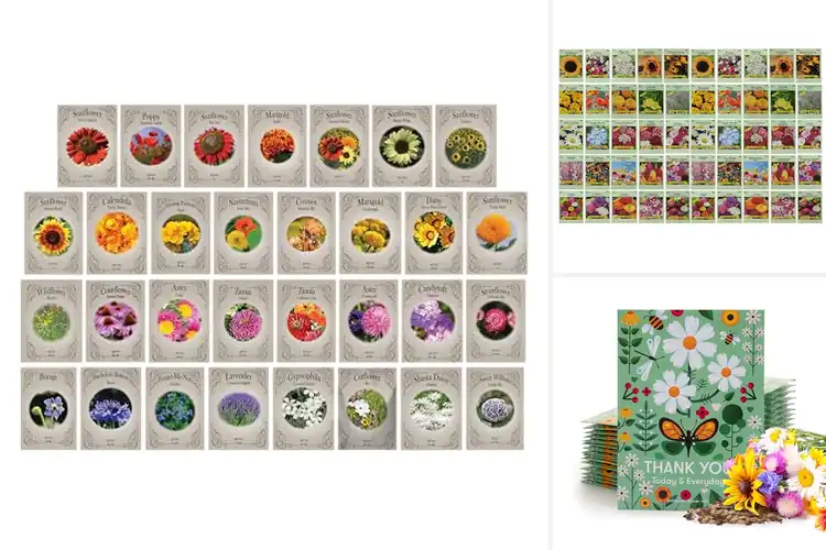 Detailed view of Best USA Made Seed Packages