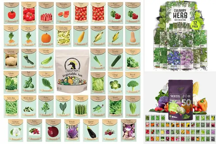 Detailed view of Best Variety Seeds