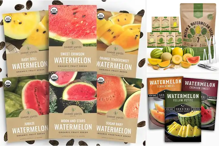 Detailed view of Best Watermelon Seed Packs