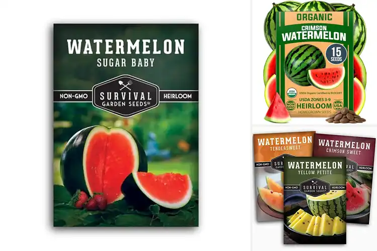 Detailed view of Best Watermelon Seeds For Garden