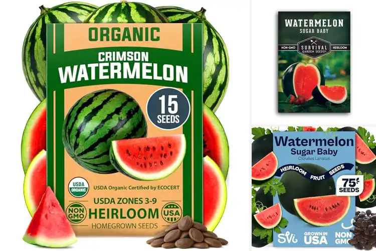 Detailed view of Best Watermelon Seeds For Planting