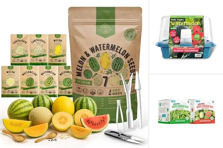 Detailed view of Best Watermelon Seeds Kit: Grow Juicy Melons Anywhere