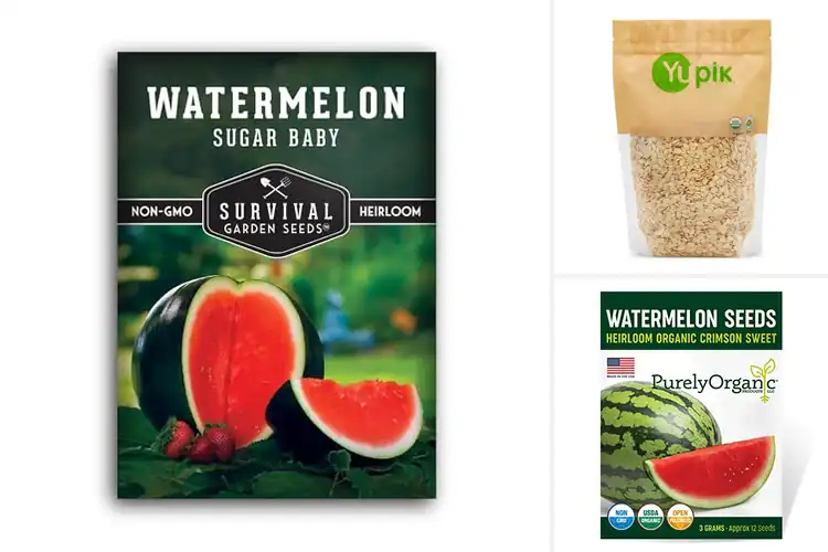 Detailed view of Best Watermelon Seeds