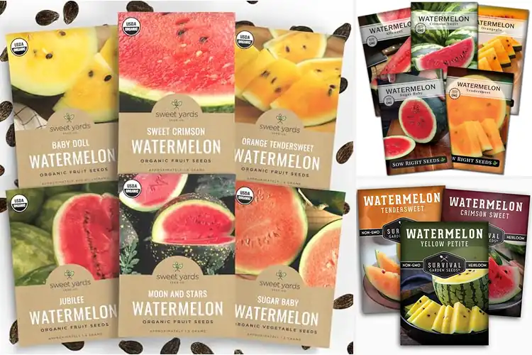 Detailed view of Best Watermelon Seeds Variety Pack