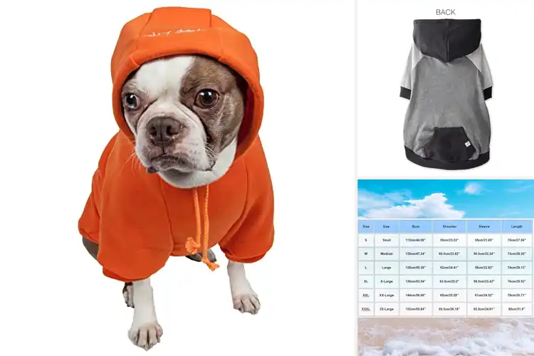 Detailed view of Best Year Round Pet Hoodie